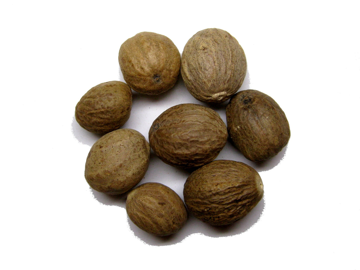 Gałka muszkatołowa. 50 gr