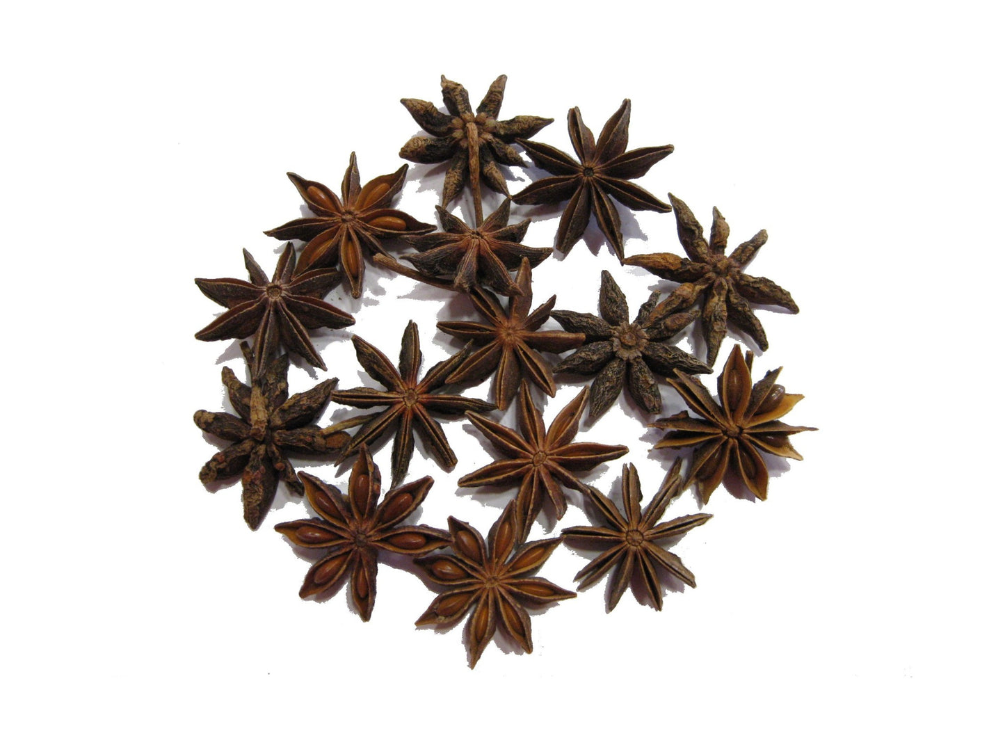 Anyż gwiaździsty. 100 gr